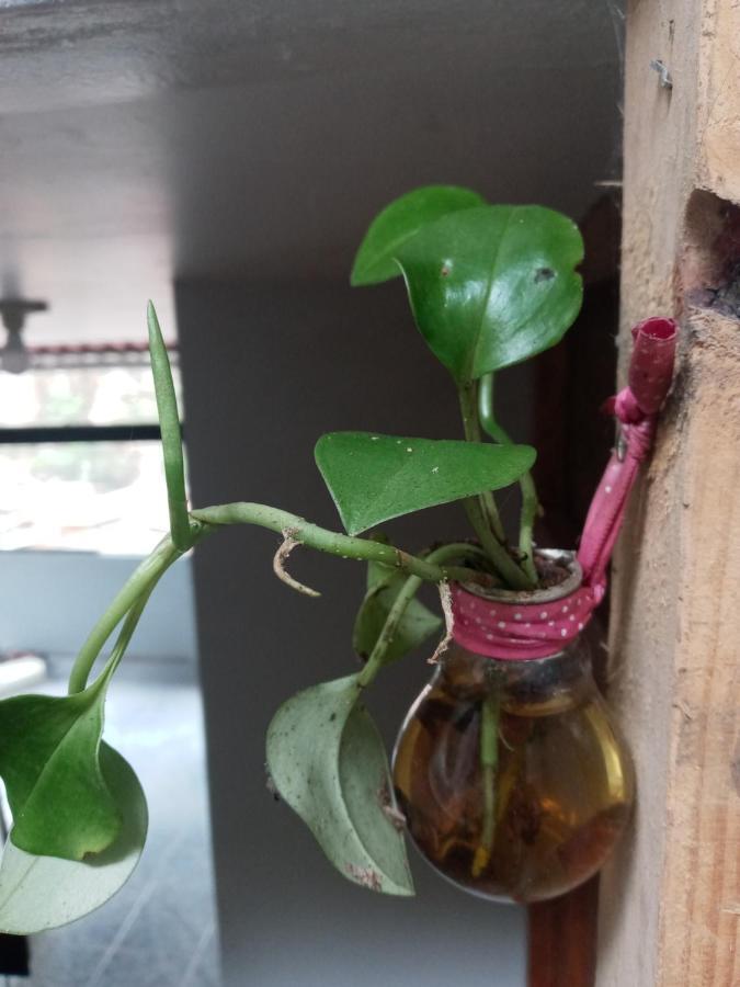 Eco Art Best View Μάτσου Πίτσου Εξωτερικό φωτογραφία